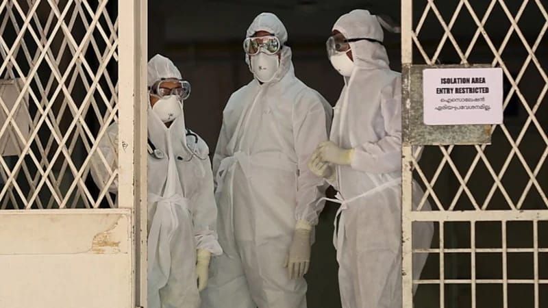 Nipah virusunun simptomları:  Komaya və ölümə səbəb olur