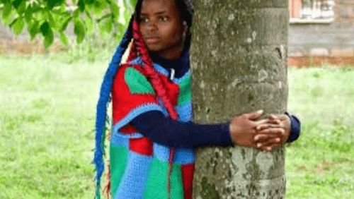 72 saat ağacı qucaqladı  – Ginnesə düşdü