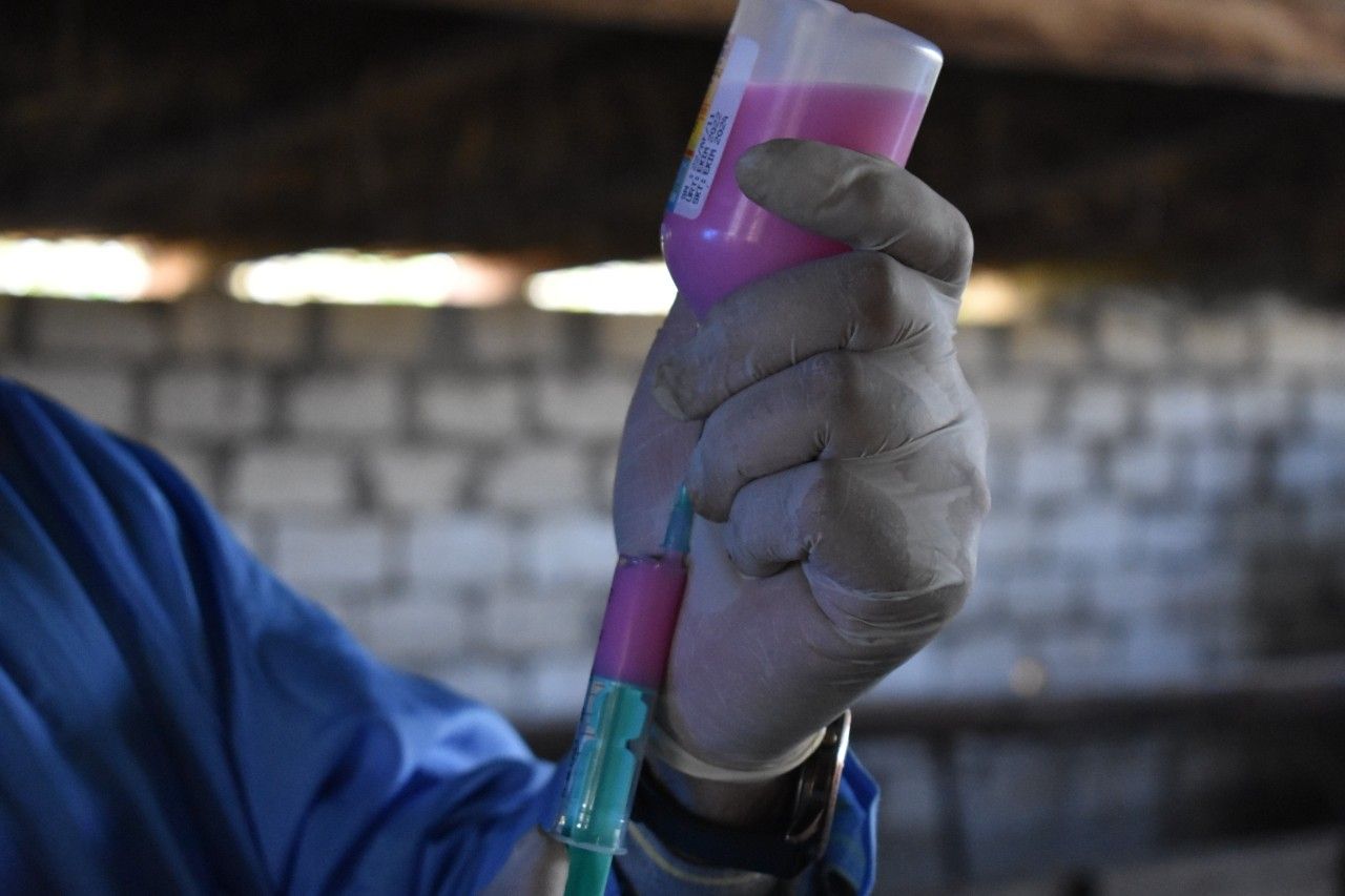 Bu xəstəliklərə qarşı peyvəndləmə tədbirlərinə başlanıldı -  FOTO