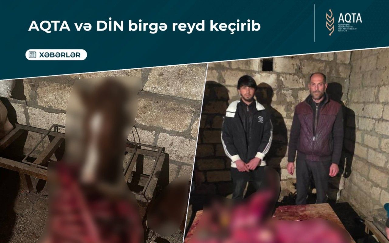 146 kq at ətini satmaq istəyənlər saxlanıldı - FOTO