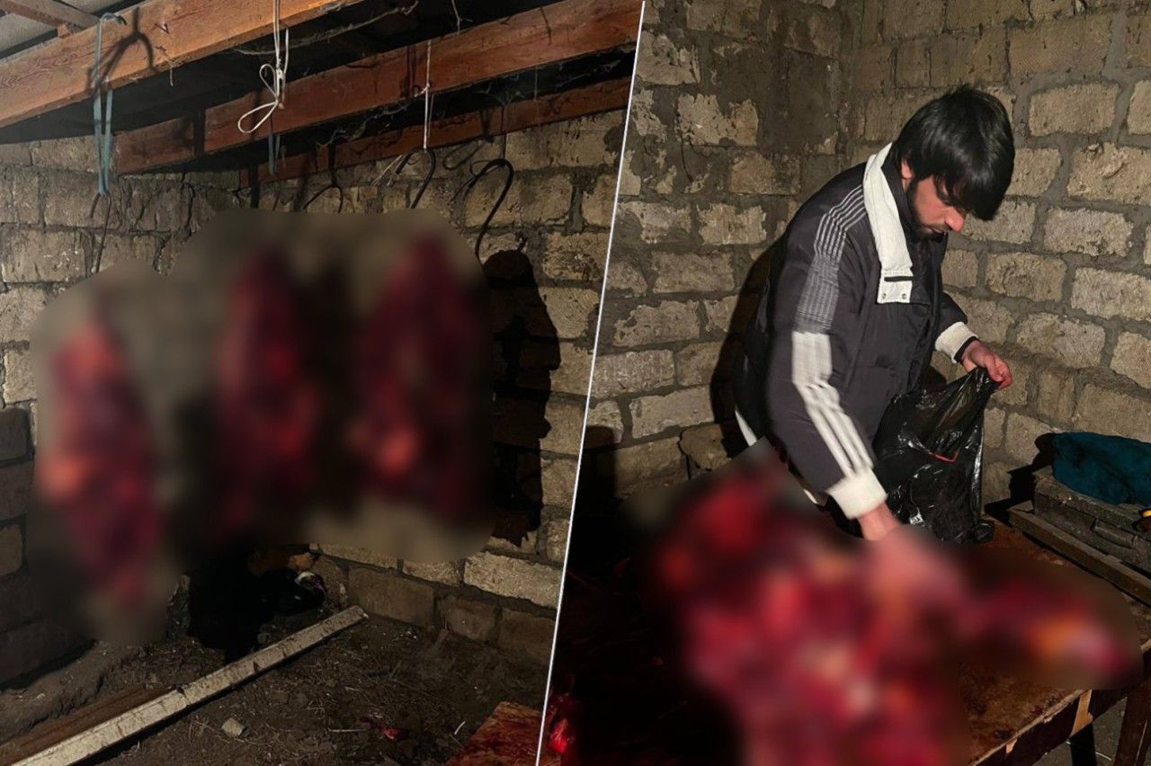 146 kq at ətini satmaq istəyənlər saxlanıldı - FOTO