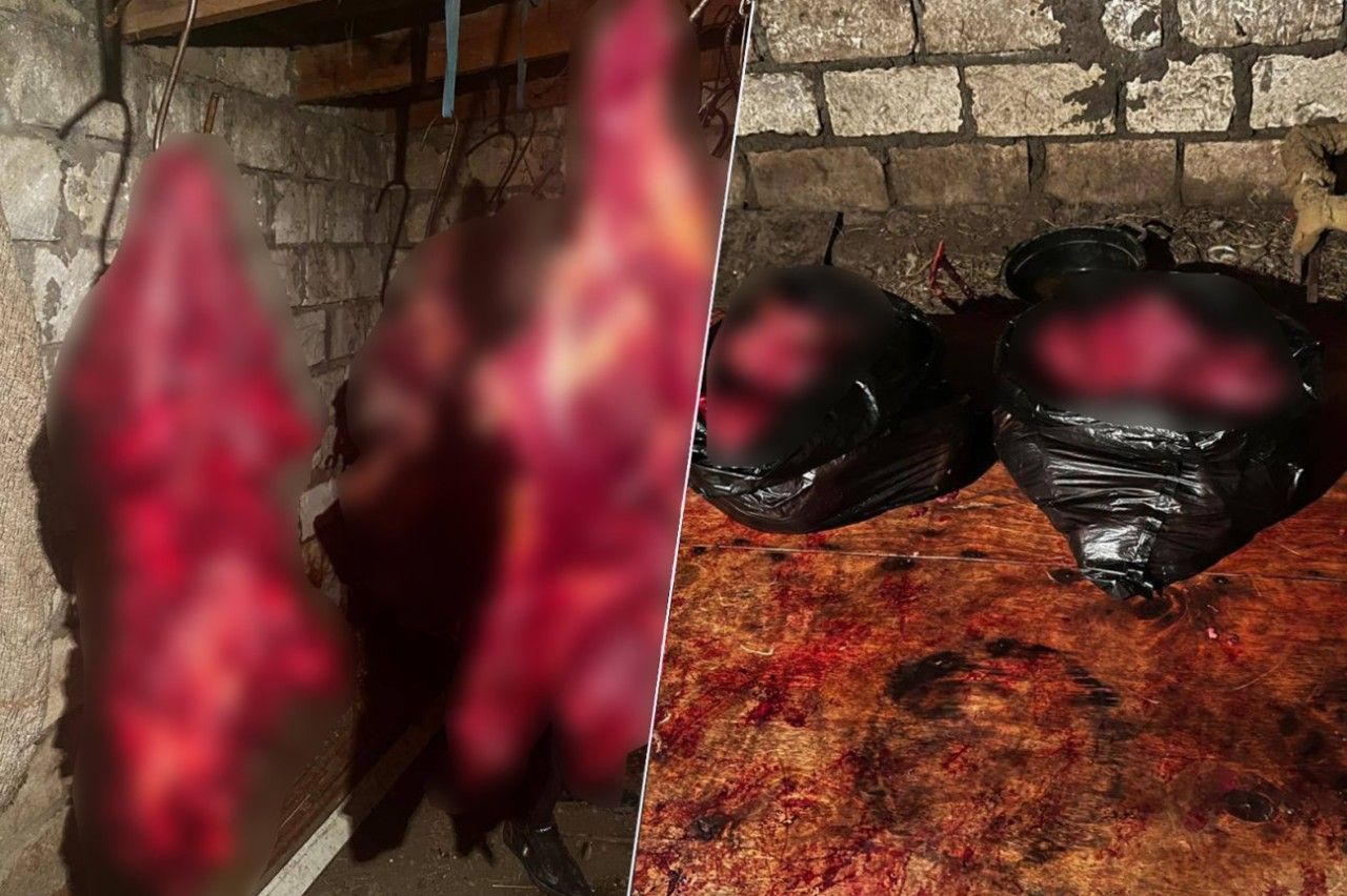 146 kq at ətini satmaq istəyənlər saxlanıldı - FOTO