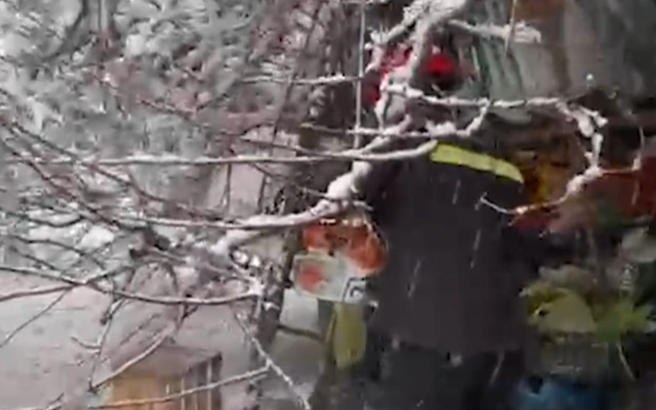 60 yaşlı qadının üzərinə ağac aşdı -  VİDEO