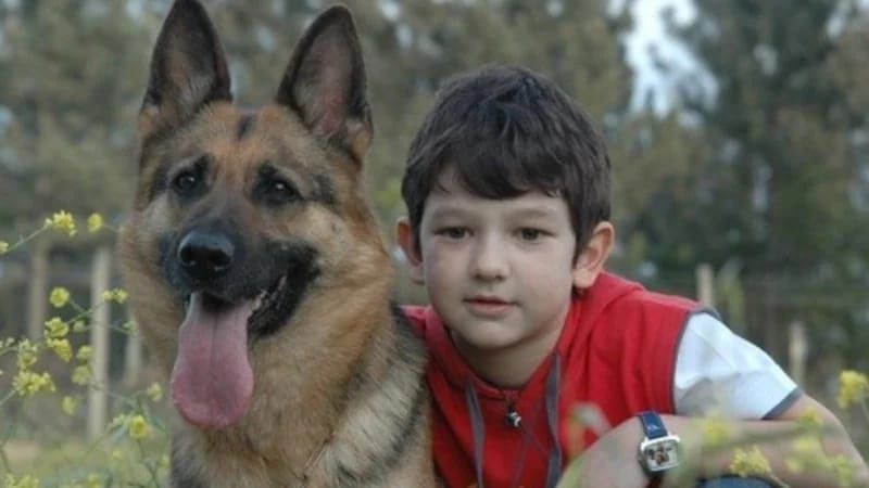 Bir zamanların balaca aktyoru idi -  Tanınmaz hala düşüb 