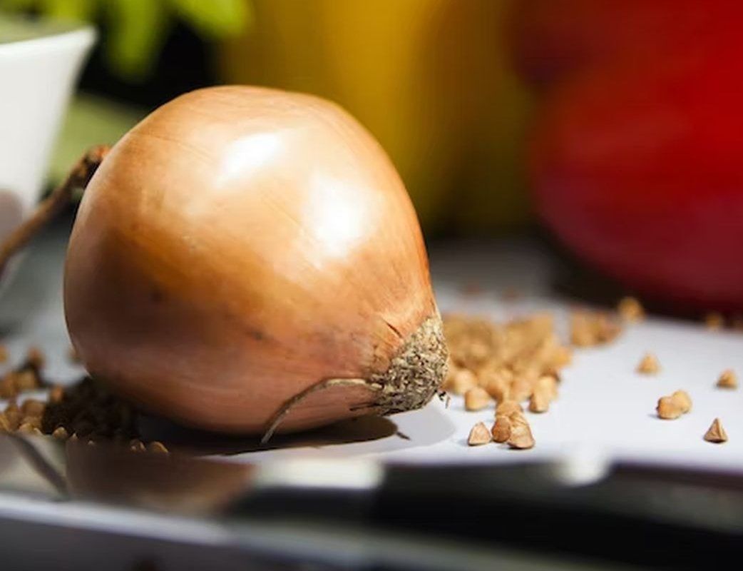 Yatmazdan əvvəl bir baş soğan yeyin 