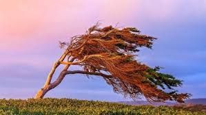 Hava ilə bağlı sarı    XƏBƏRDARLIQ