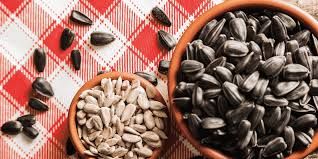 Günəbaxan tumları əsəb və ürək üçün    faydalı imiş