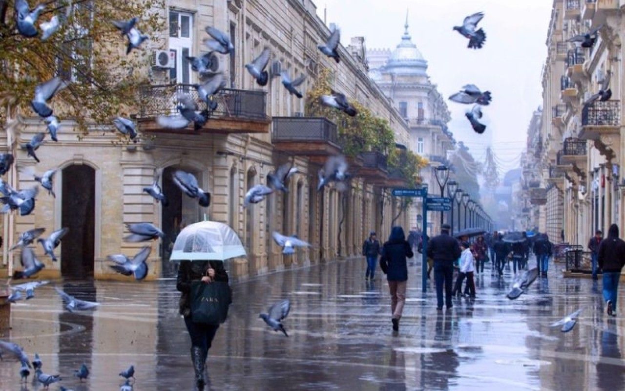 Sabahın hava proqnozu 