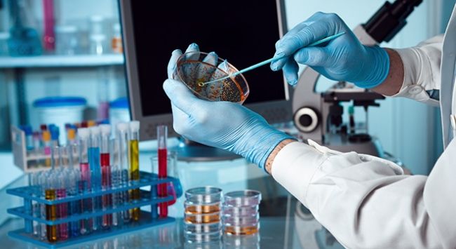 Xərçəngin dərmanı   60 il əvvəl tapılıb?