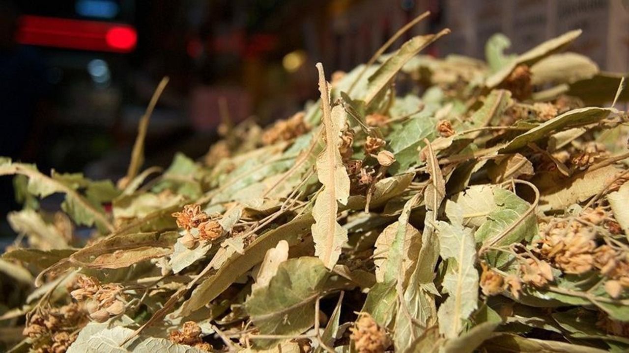 Hər gün bir fincan cökə çayı içməyin  möcüzəvi təsirləri