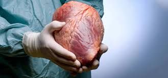 Donor ürəyi köçürülən insan    nə qədər yaşayır?