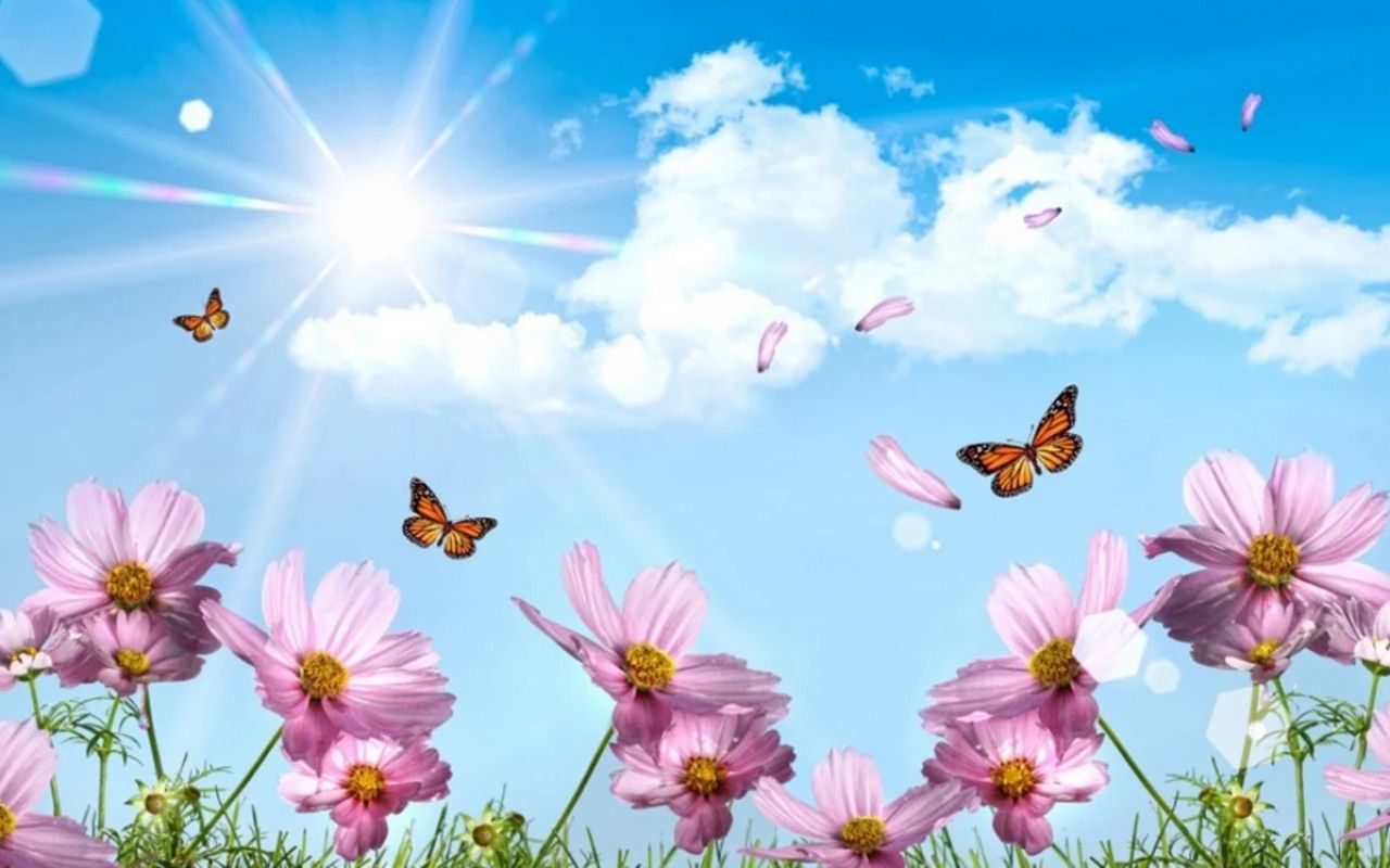 Sabah Azərbaycana yaz gəlir 