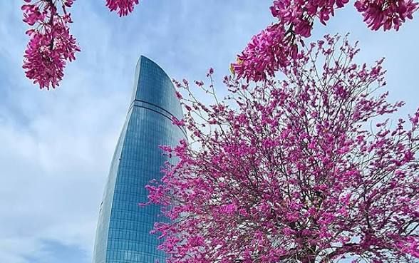 Şənbə gününün  hava proqnozu