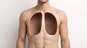 Ağır qrip xəstəsi ağciyərsiz 48 saat    yaşadı