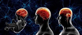 Bu məşqlər beyin qocalmasını yavaşıladır 