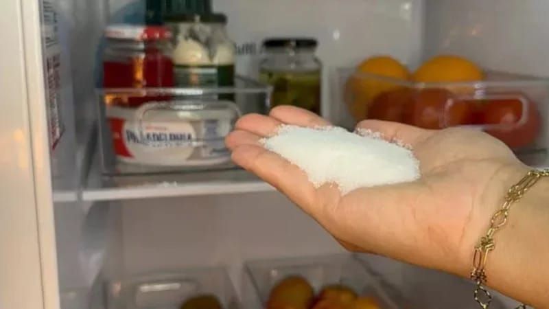 Soyuducuya duz qoymağın  faydaları