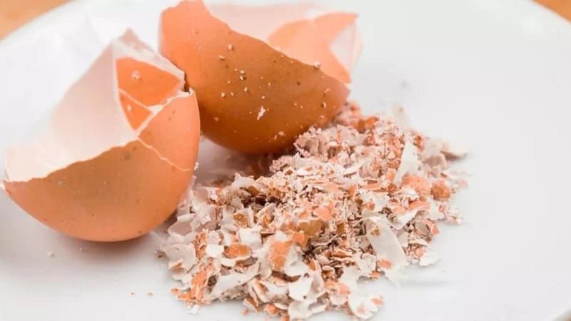 Yumurta qabıqlarını atmayın:  Hamı toza çevirir...