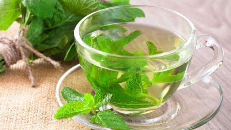 Bədəniniz sizə təşəkkür edəcək:  Nanə suyu içməyin 5 faydası