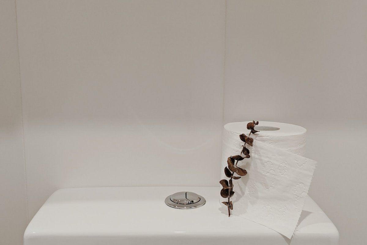 Nəcisdə bu 4 rəng təhlükədən  - xəbər verir