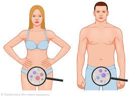 Hansı cinsi infeksiya daha qorxuludur? 