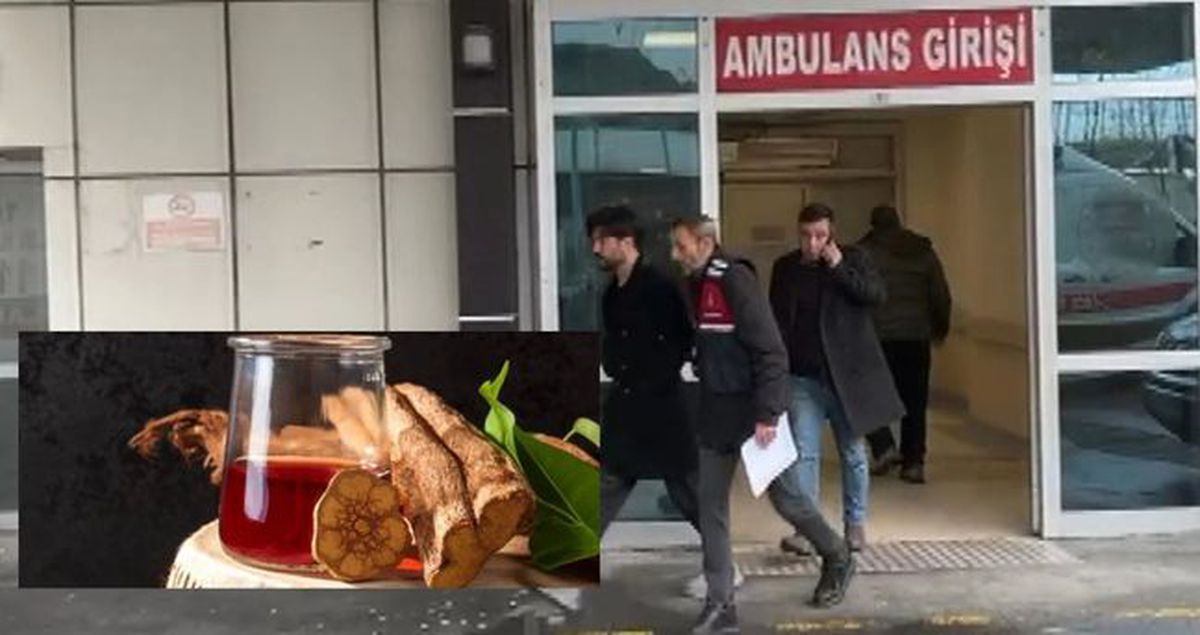 Yusuf Güneyin həbsinə səbəb olan Ayahuasca çayı nədir? -  Qadağandırmı?