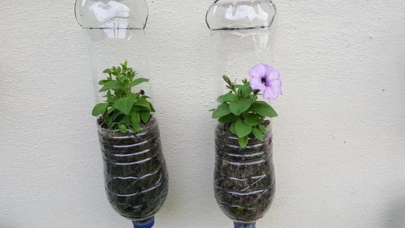 Köhnəni atanlar peşman olacaqlar -  Təkrar istifadə edəcəyiniz 5 əşya