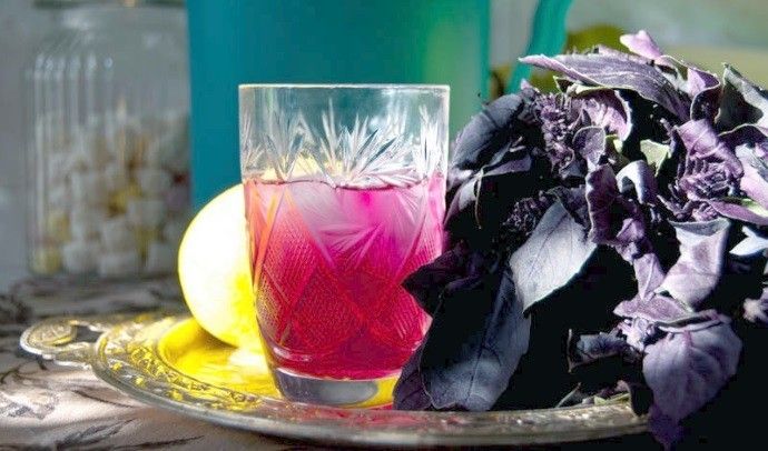 Həkimlərdən məsləhət   – Reyhan çayı için