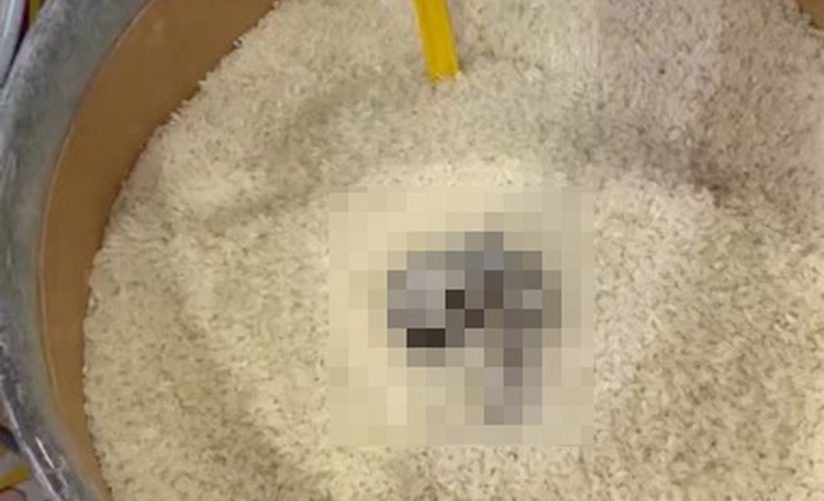 Açıq satılan düyüdə pişik nəcisi tapıldı -   52 000 cərimə