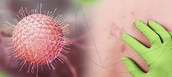 Bu virus bədəndə on illərlə yaşaya    bilər