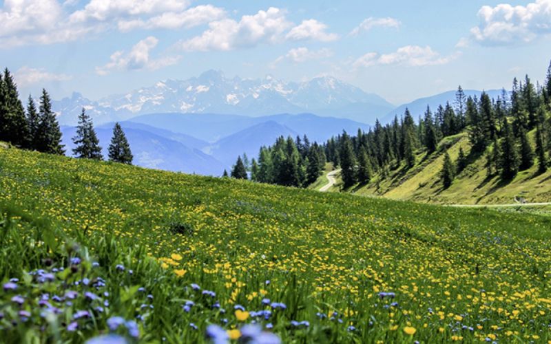 Sabahın hava proqnozu 
