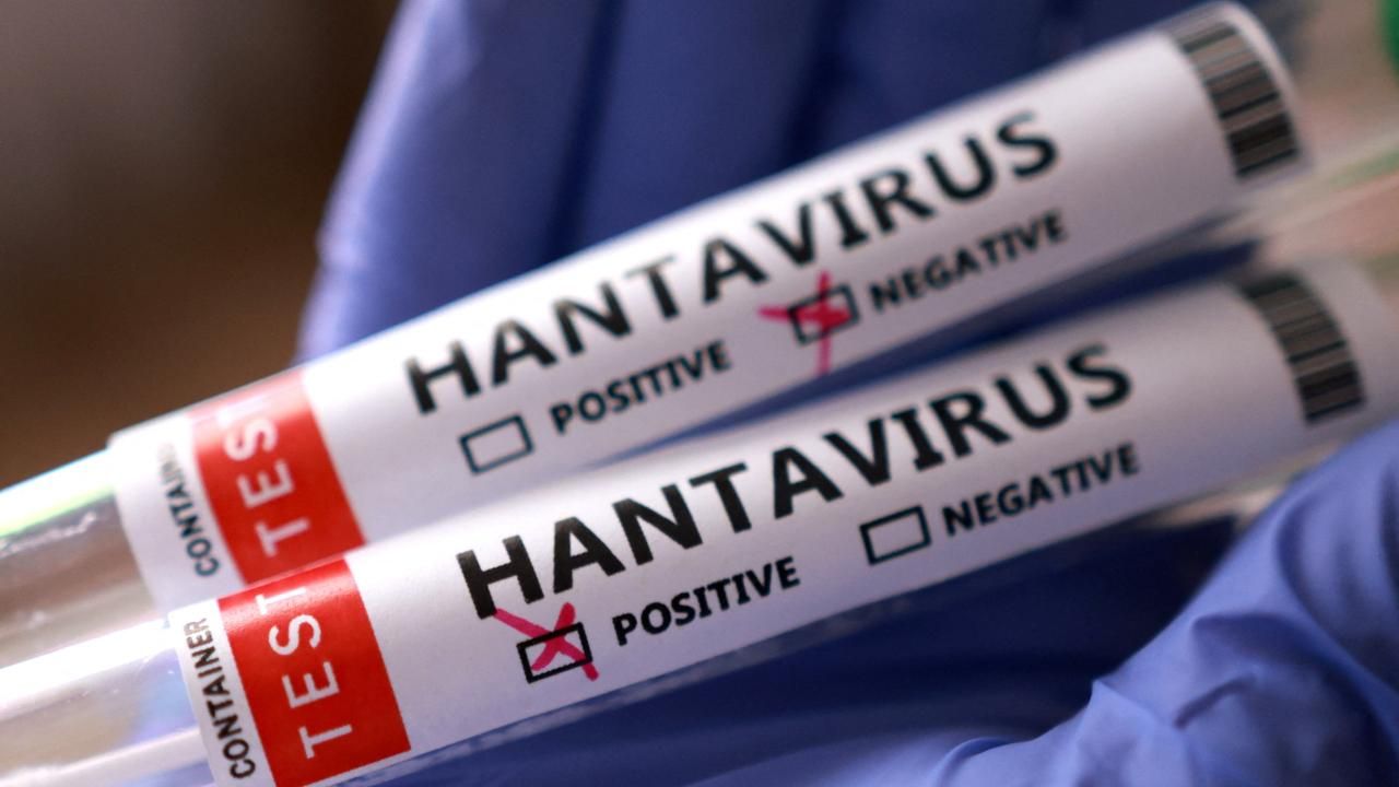 Azərbaycanda hantavirusa yoluxma qeydə alınıb? -  Rəsmi