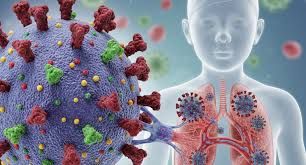 Yeni Hantavirusun müalicəsi varmı - Antibiotik, yoxsa kovid dərmanları?