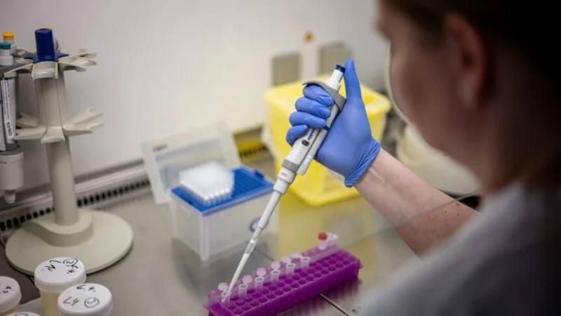 Hantavirus üçün təsdiqlənmiş müalicə və ya  peyvənd yoxdur