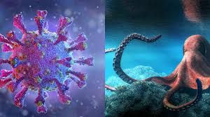 Yayılan qəribə virus  – Soyuqdəyməyə bənzəyən Kraken