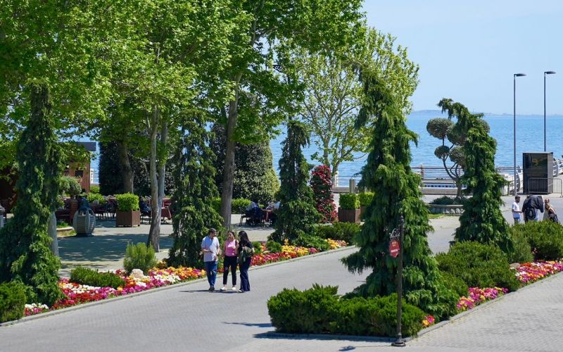 Sabahın havası 