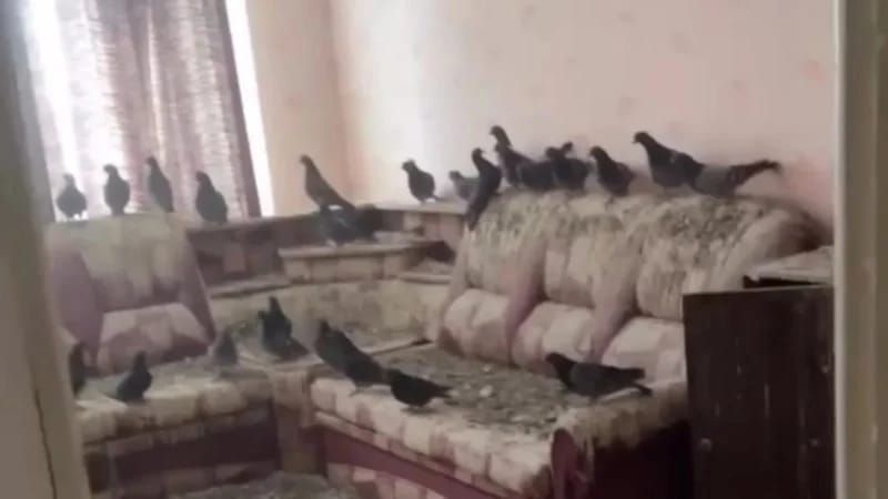 Pəncərələri 3 il açıq qoydu -   Qayıtdığında peşman oldu-FOTO
