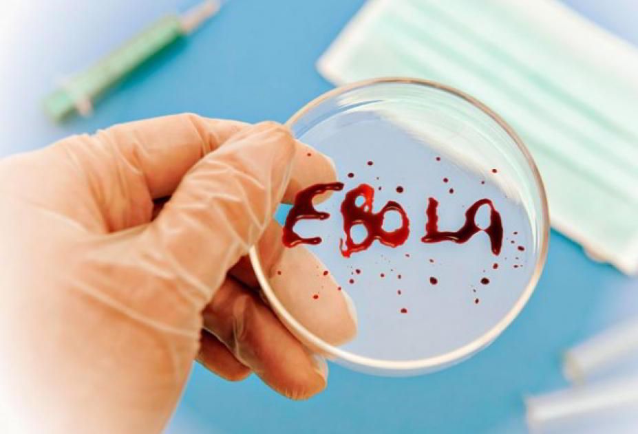Ebola yayılır     - 1 gündə 15 nəfər öldü