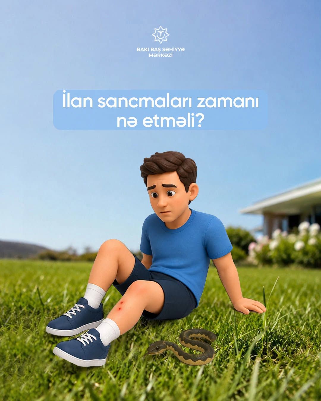 Yayın təhlükəsi  - İlan sancmasında nə etməli? 