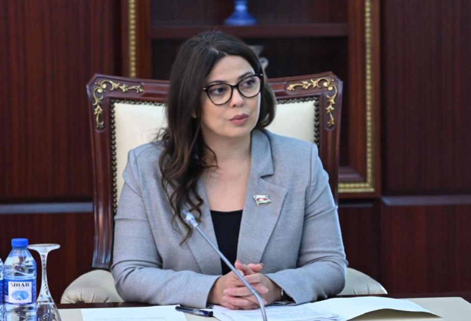 Xanım deputata ağır itki 