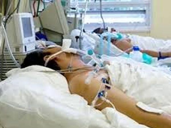 Ceyranbatanda toyda dava   - Biri komadadır