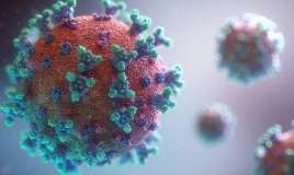 Koronavirusun yeni mutasiyası çıxdı  - Pirola
