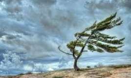 Hava ilə bağlı xəbərdarlıq 
