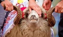 Qurban bayramında neçə gün  evdəyik?