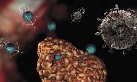 Dünyada yeni virus yayılır  – Oropuş