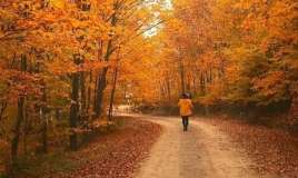 Sabahın hava proqnozu 