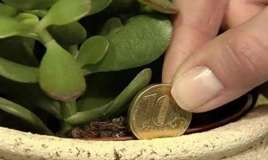 Dibçəyə qəpik basdırın -  Yaponların üsulu