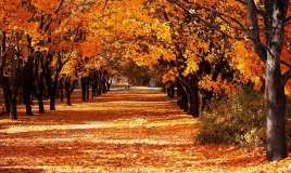 Sabahın hava proqnozu 