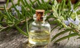 Bu bitki altsheymerdən qoruyur 