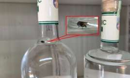 Saxta içkidən milçək çıxdı -  FOTO