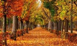 Sabah hava  necə olacaq?